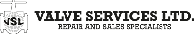 Valve Services Logo